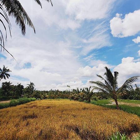 Bunga Maliq Bungalow Lombok Tetebatu Exteriör bild