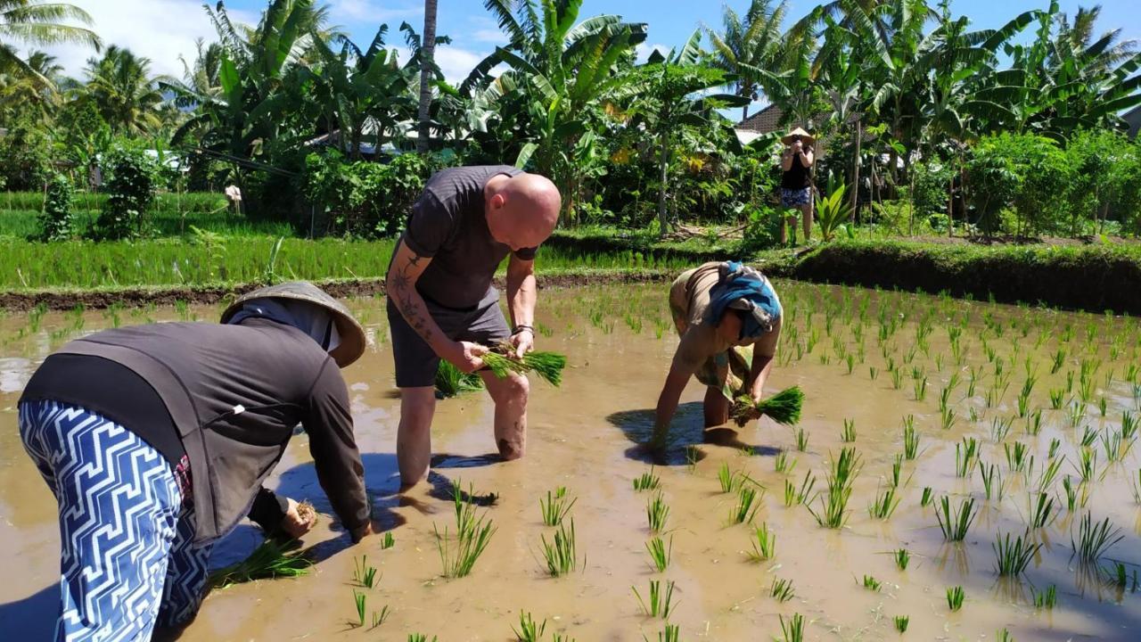 Bunga Maliq Bungalow Lombok Tetebatu Exteriör bild