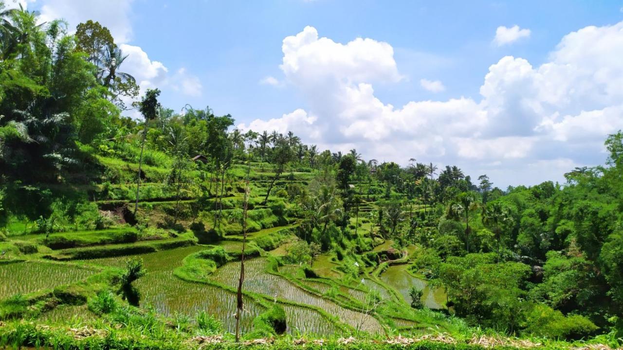 Bunga Maliq Bungalow Lombok Tetebatu Exteriör bild