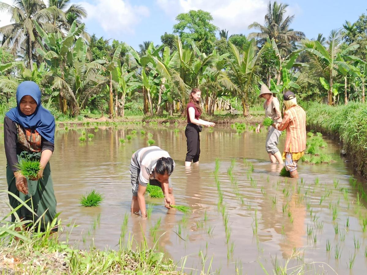 Bunga Maliq Bungalow Lombok Tetebatu Exteriör bild