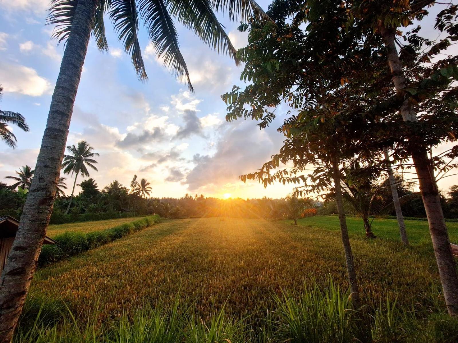 Bunga Maliq Bungalow Lombok Tetebatu Exteriör bild