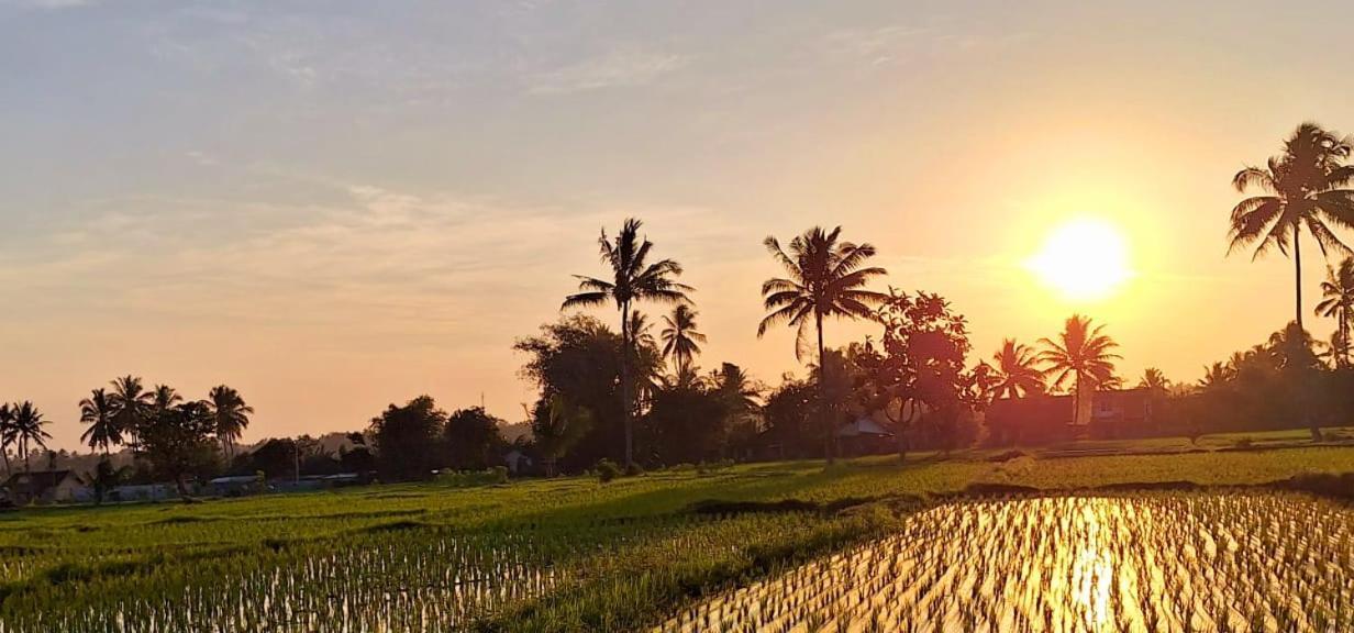 Bunga Maliq Bungalow Lombok Tetebatu Exteriör bild