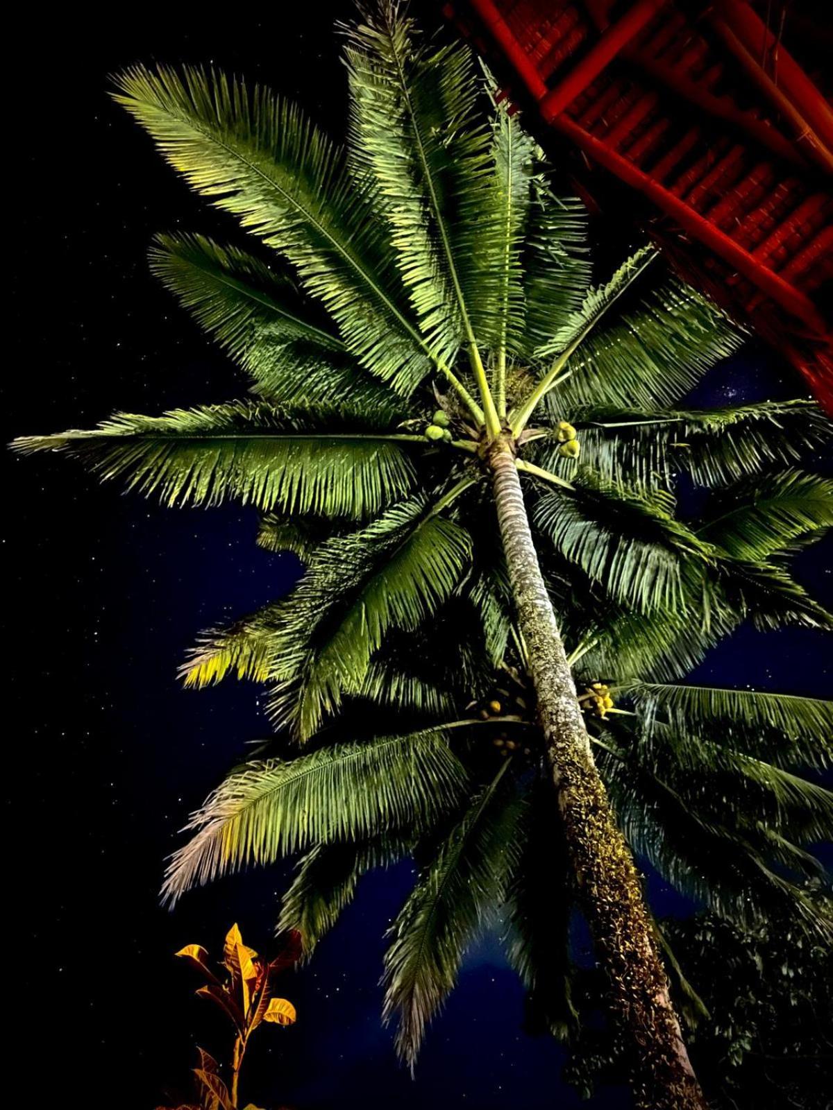 Bunga Maliq Bungalow Lombok Tetebatu Exteriör bild