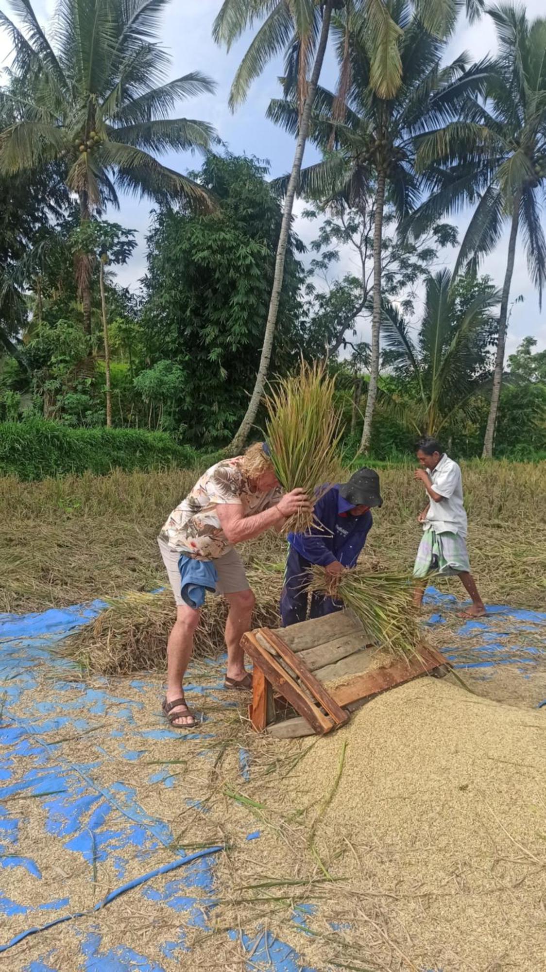 Bunga Maliq Bungalow Lombok Tetebatu Exteriör bild