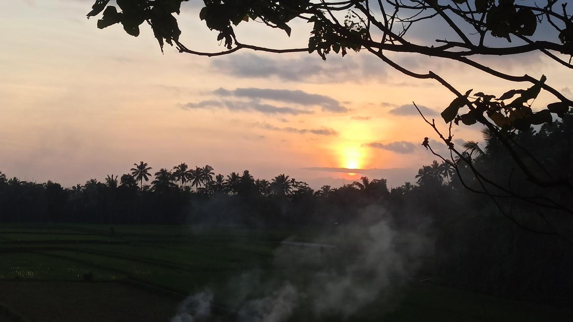 Bunga Maliq Bungalow Lombok Tetebatu Exteriör bild