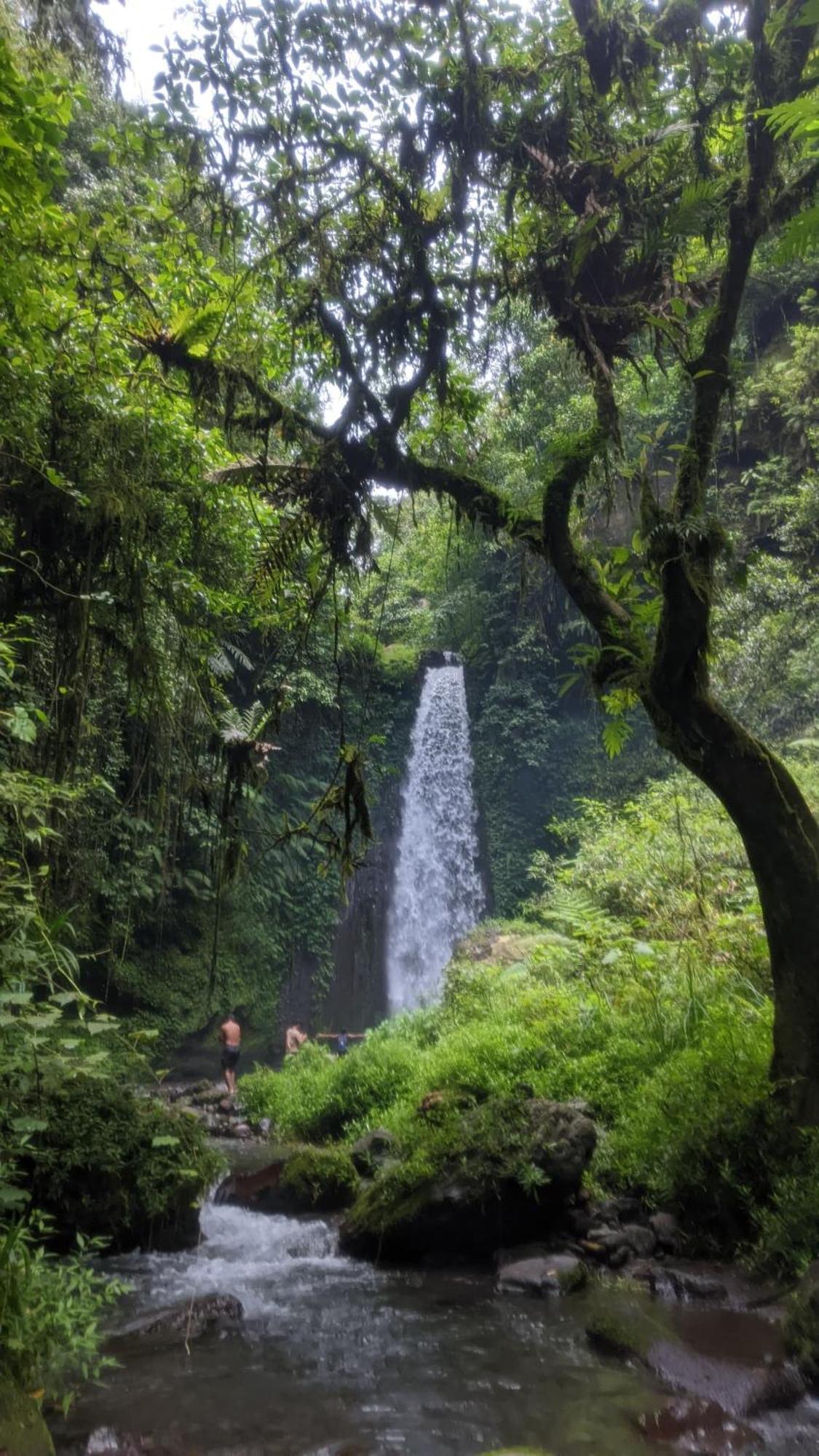 Bunga Maliq Bungalow Lombok Tetebatu Exteriör bild