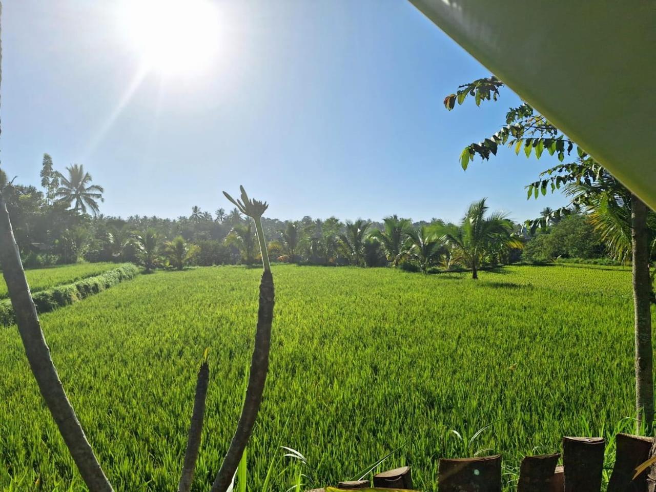 Bunga Maliq Bungalow Lombok Tetebatu Rum bild
