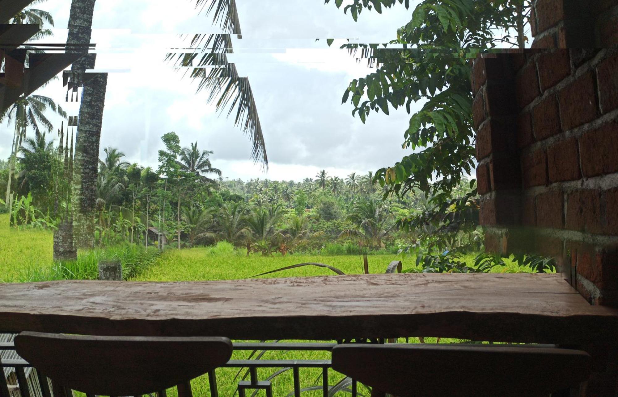 Bunga Maliq Bungalow Lombok Tetebatu Rum bild