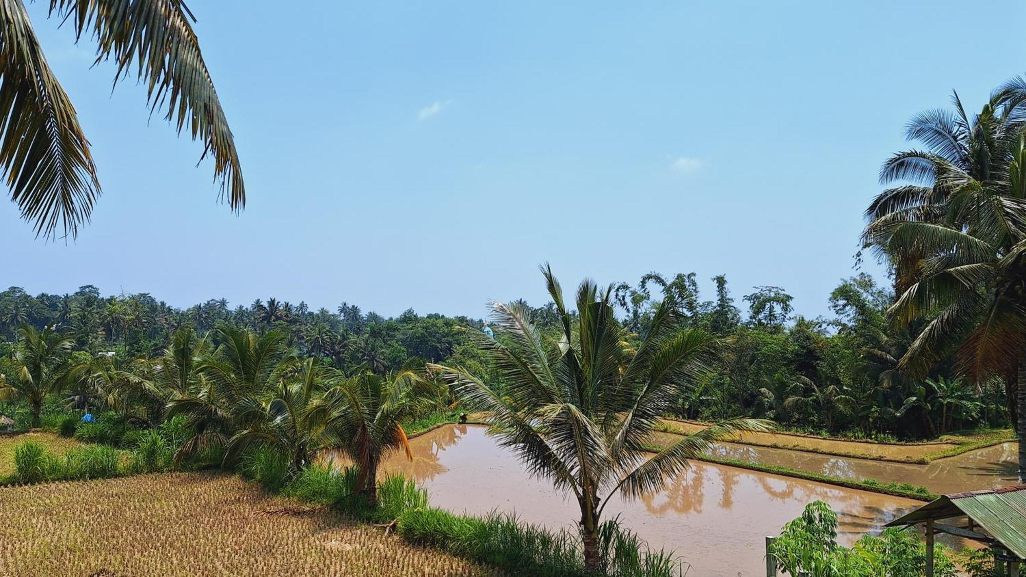 Bunga Maliq Bungalow Lombok Tetebatu Exteriör bild