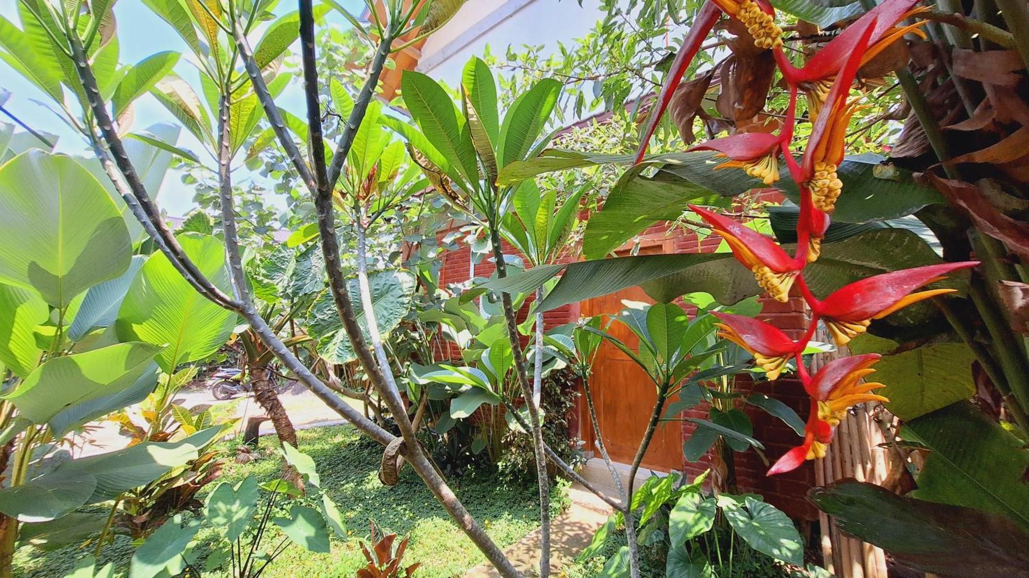 Bunga Maliq Bungalow Lombok Tetebatu Rum bild