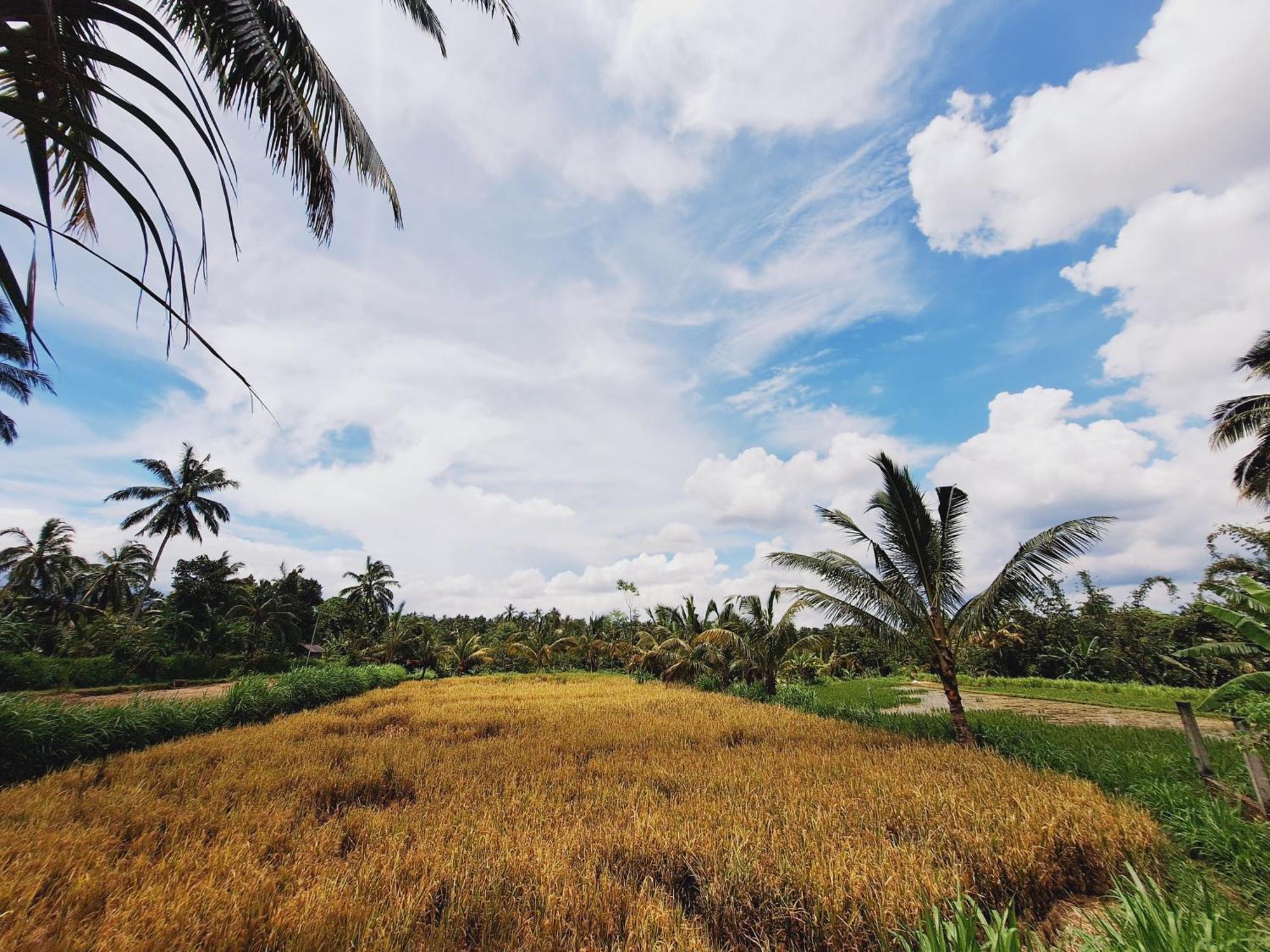 Bunga Maliq Bungalow Lombok Tetebatu Exteriör bild